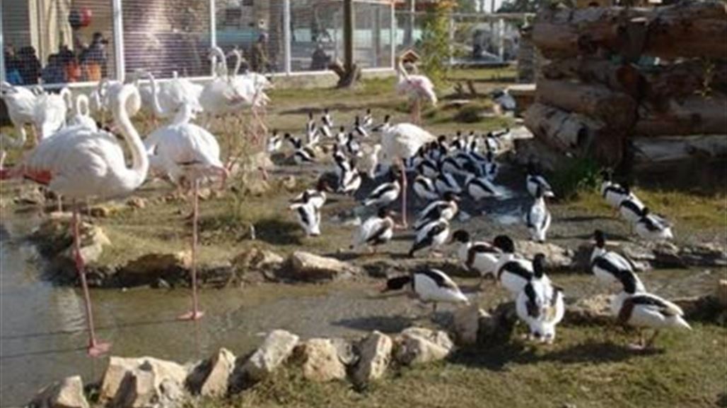 بالوثيقة .. امانة بغداد تعرض مجموعة من الحيوانات في متنزه الزوراء للبيع